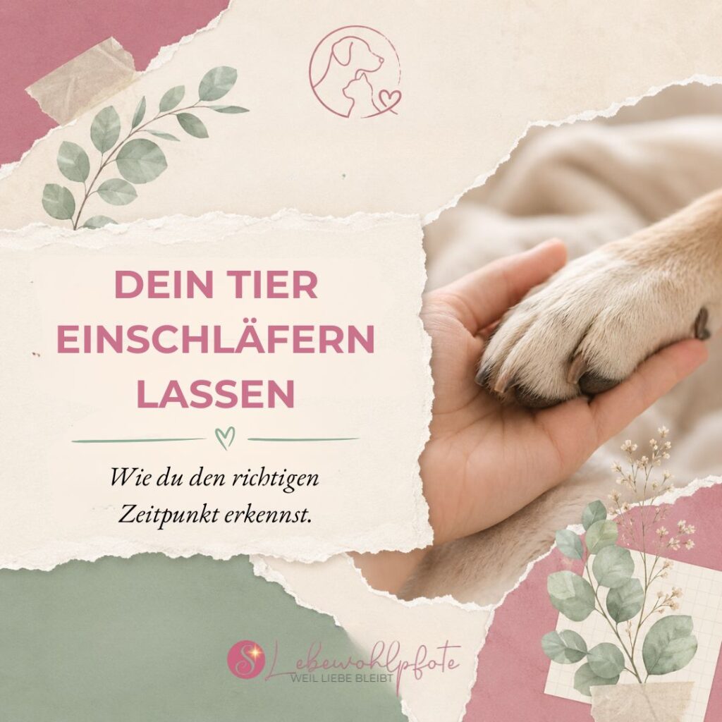 Hand hält eine Hundepfote