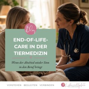 Eine Tierärztin berät eine Katzenhalterin zum End-of-life-Care der Tiermedizin