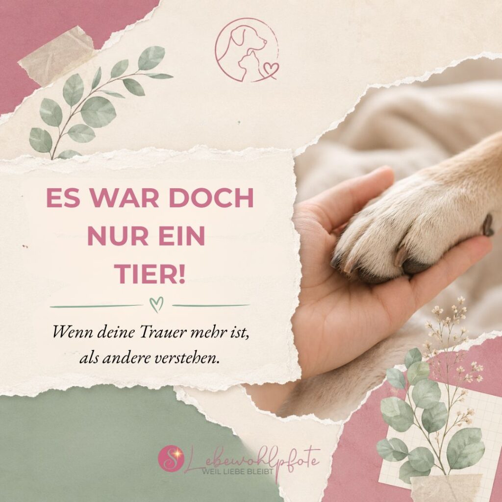 Hand hält eine Hundepfote