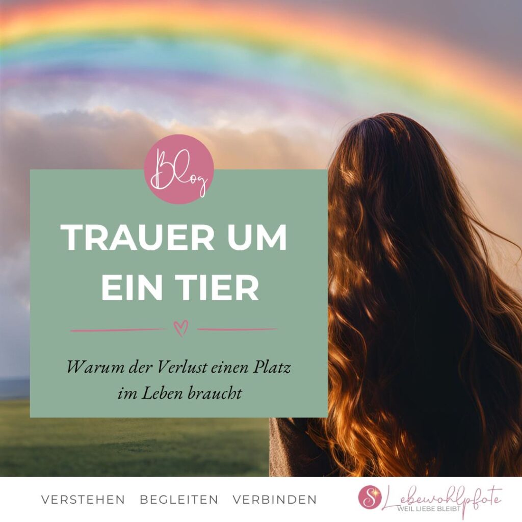 Frau betrachtet einen Regenbogen am Horizont